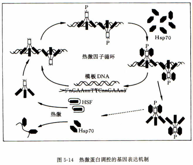 KY.COM_台湾大学水利专家来南京水利水电科学研究院交流访问(图2)